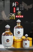 景德鎮(zhèn)空酒瓶帶禮盒家用 景德鎮(zhèn)空酒瓶帶禮盒家用